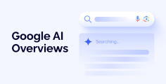 AI Overviews in Google Search