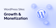 Drive Traffic and Monetize WordPress Sites